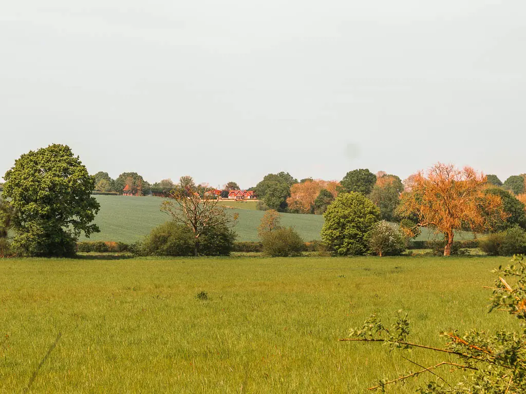 Looking across the large grass field and hill in the distance. There are trees lining the edges of the field and hill with a mix of green and orange leaves.