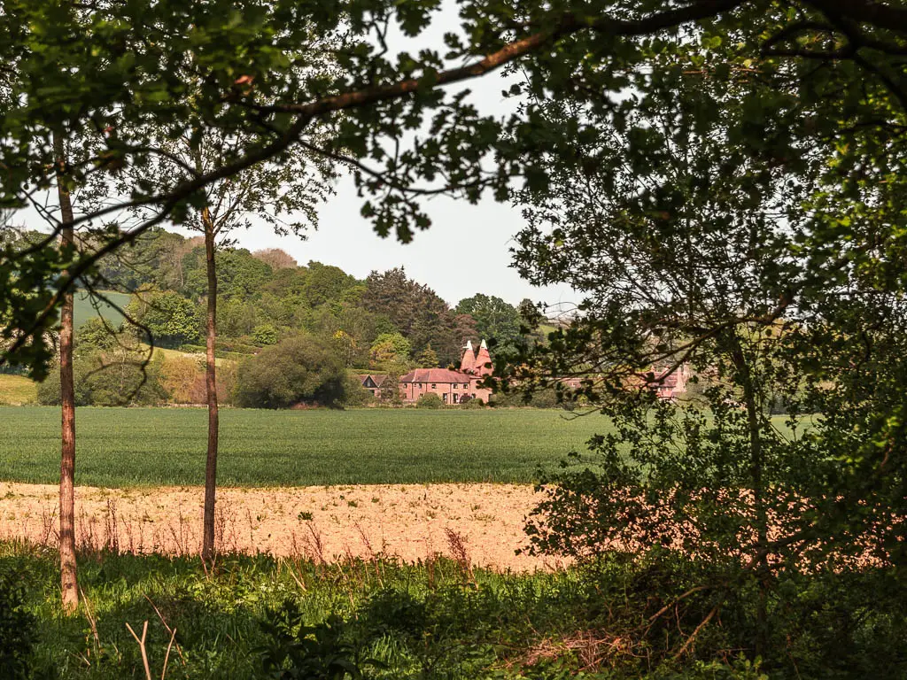 Looking through a gap in the tree branches on the Forest Way walk. There is a large green grass field and house on the other side. The house has a cone shaped roof.