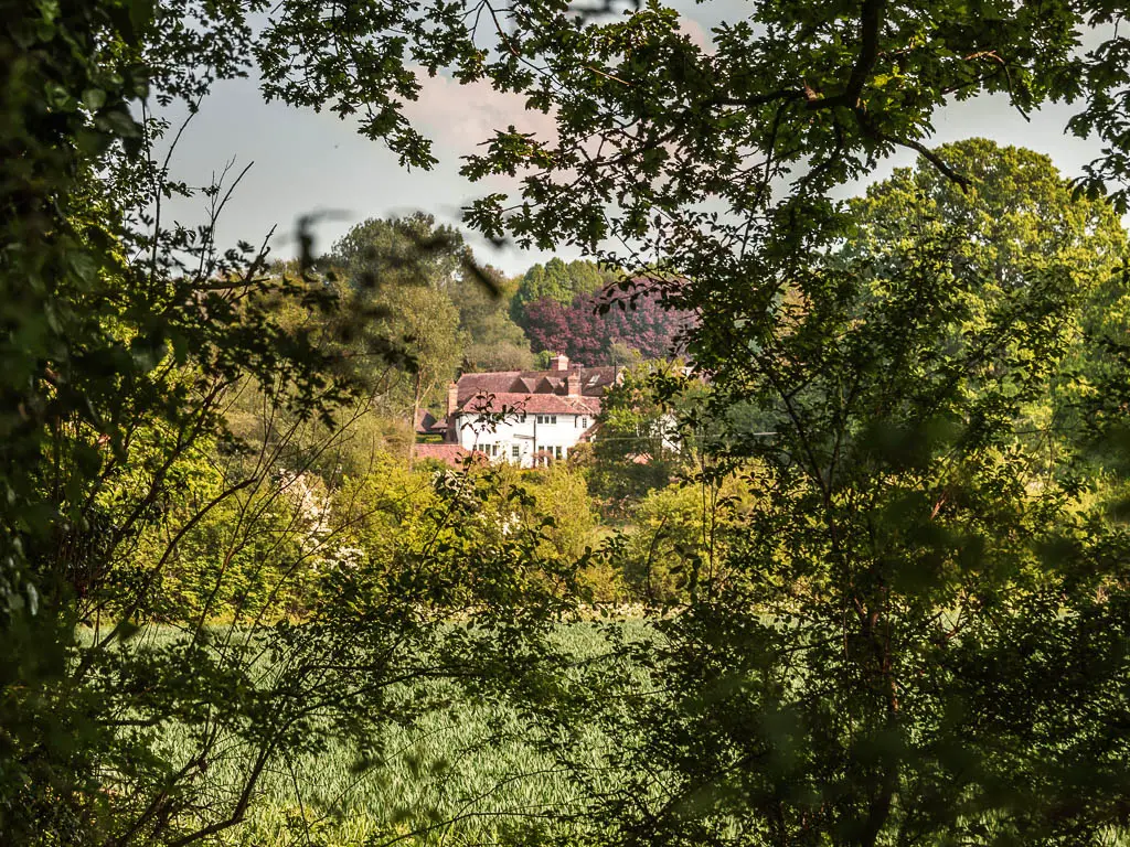 Looking through a gap in the leafy tree branches to a large white Manor House in the distance.