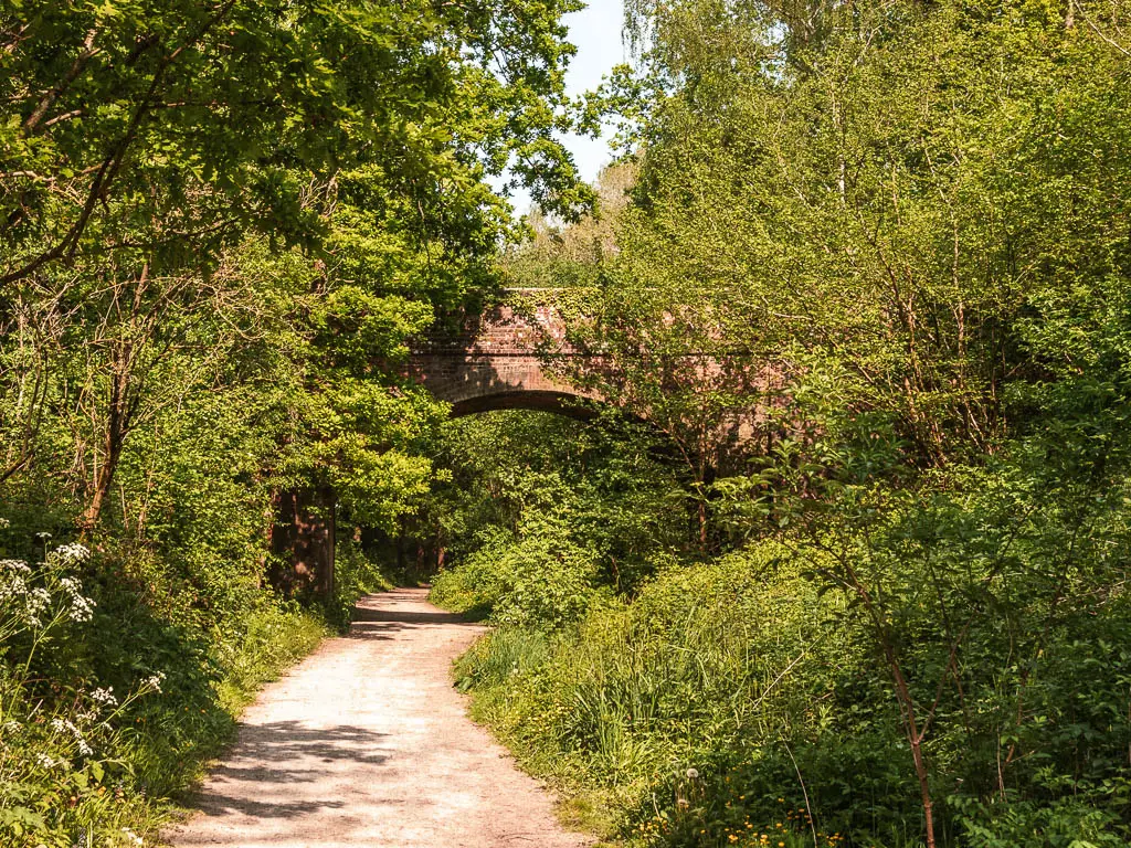 A path leading ahead and under a partially hidden archway bridge. The trail and bridge are surrounded by green leafy trees and bushes.