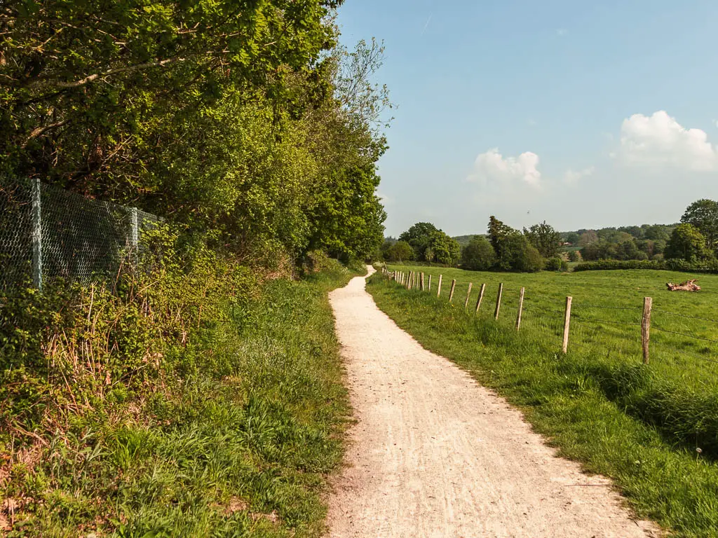 A white winding trail leading ahead, with a grass field and wire fence on the right, and strip of grass and big leafy trees on the left.