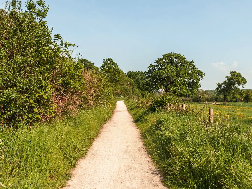 A long straight white path lined with strips of tall grass, with bushes on the left side.