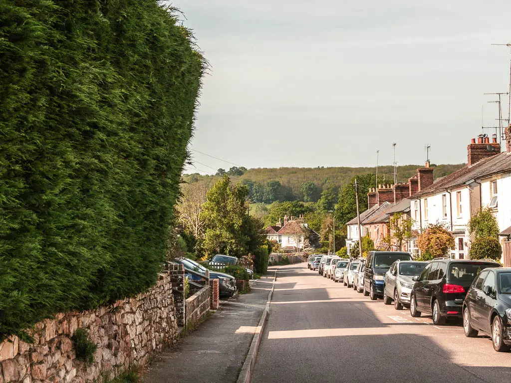 Looking down along a residential street in Groombridge, with houses and parked cars all along the right side, and a large green hedge on the left. Ahead in the distance is a  green tree covered hill.