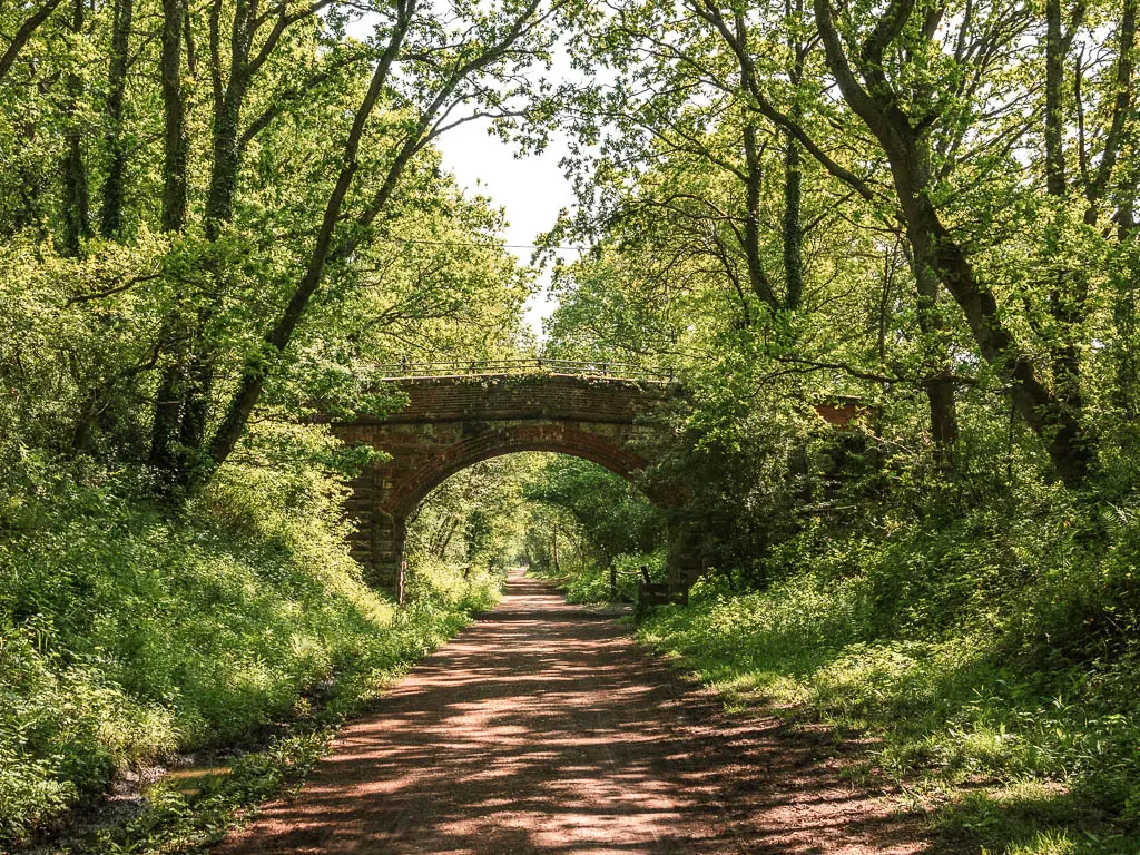 A wide dirt path leading straight under an archway bridge when walking along the Forest Way trail. The path is lined with green bushes and trees.