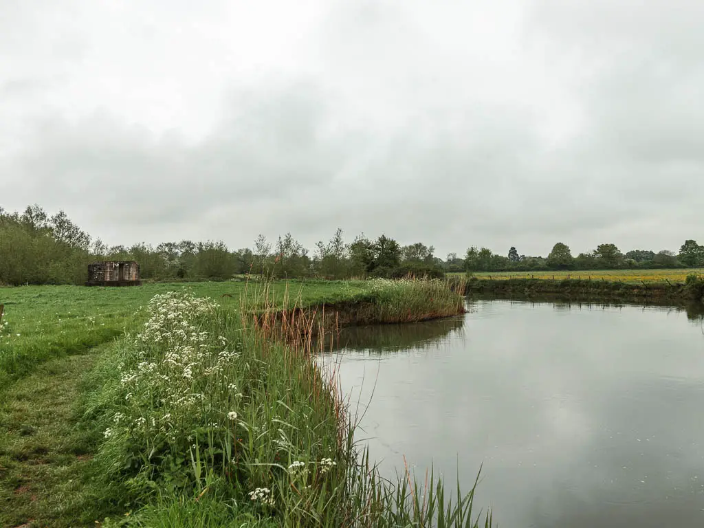 The river on the right, and grass field on the left on the walk from Lechlade to Newbridge.