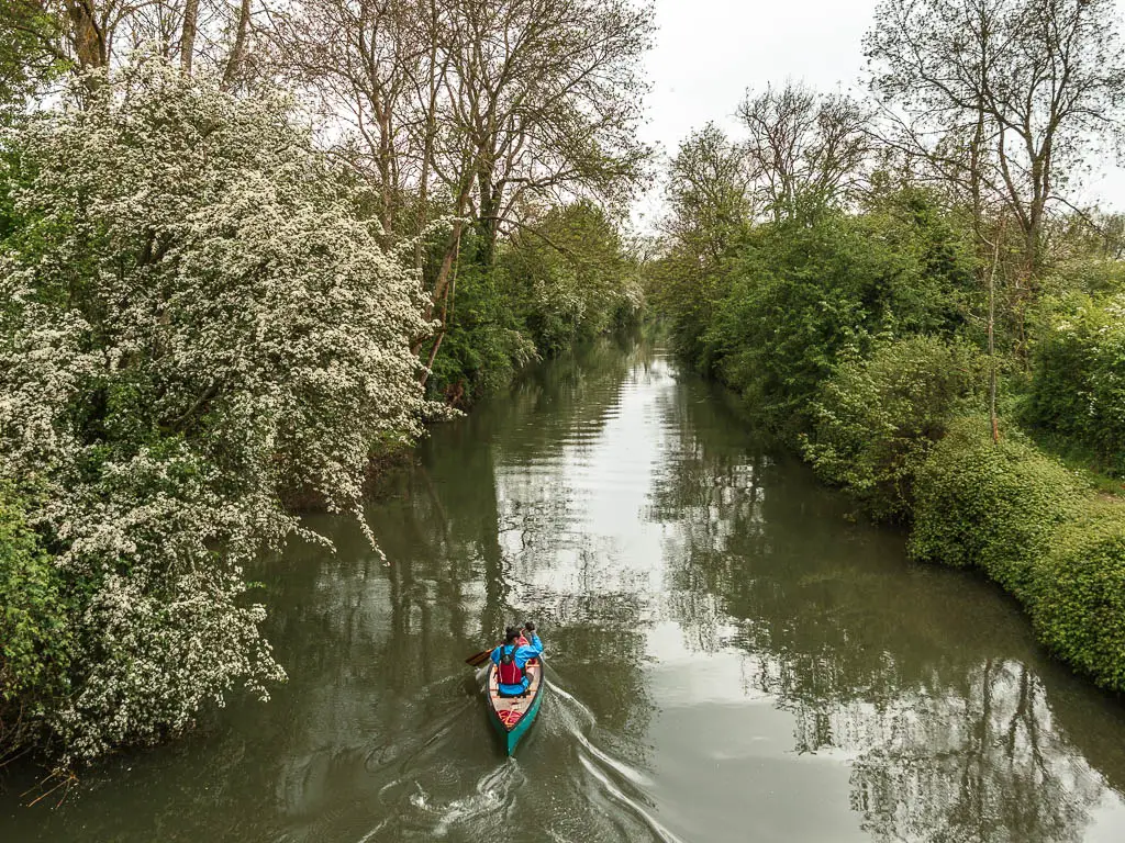 A kayaker on the river partway through the walk between Lechlade and Newbridge. The river leads straight ahead and is lined with masses of green and white leafy bushes and trees.