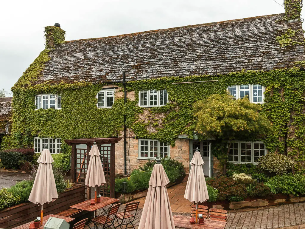 A pub covered in green ivy, and tables and benches in front with cream closed parasols.