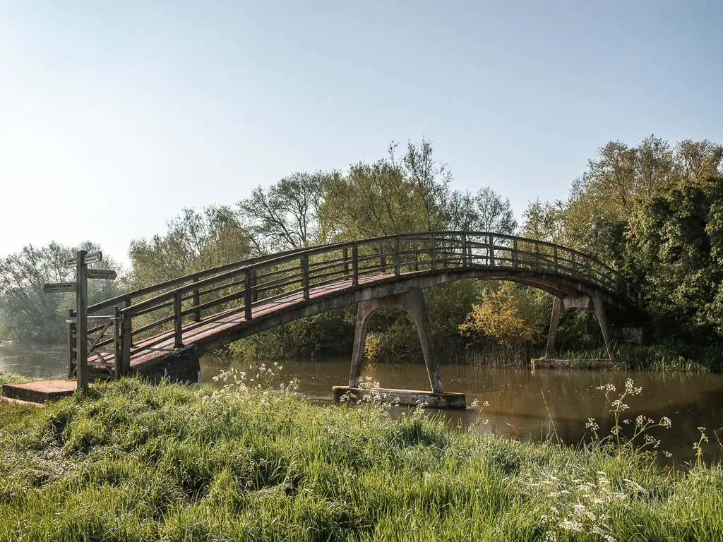 A curved wooden bridge over the river, with tall messy green grass on this side, and masses of trees on the other side.