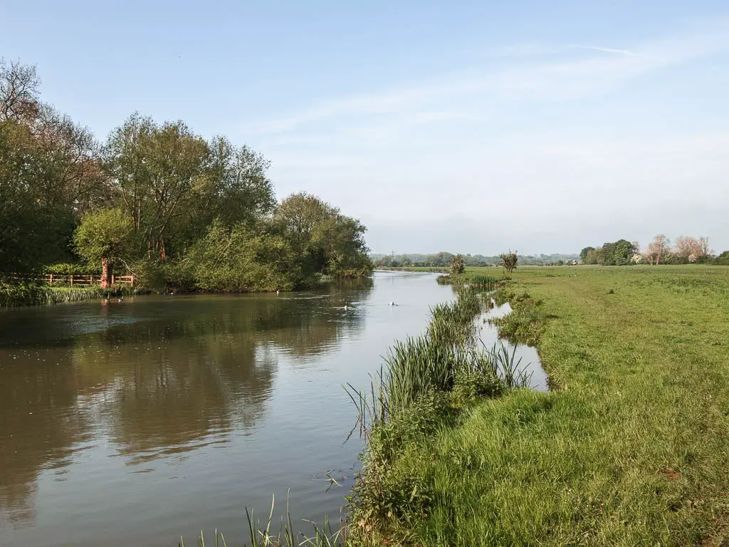 Looking along the river running  straight ahead on the left, and the green field on the right. There are lots of trees on the left side of the river.