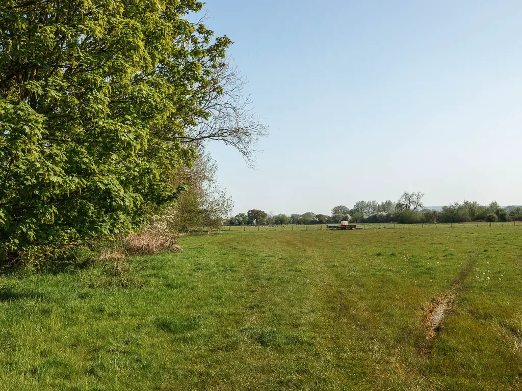 A large green grass field with big green leafy trees on the left.