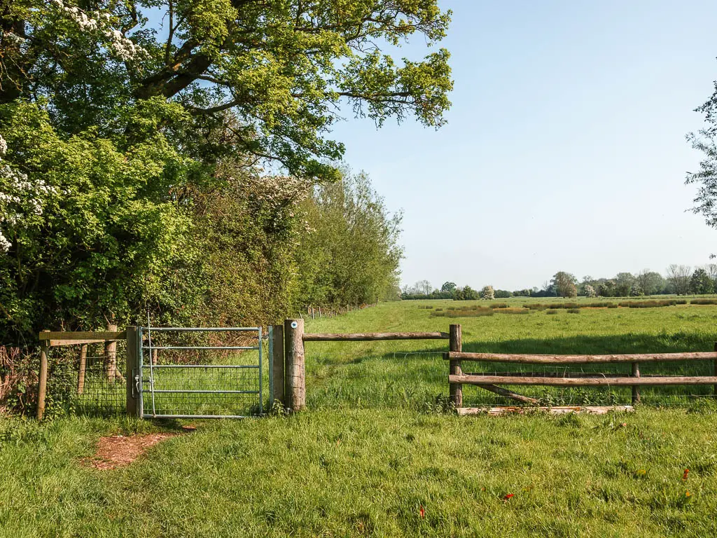 A large grass field with wooden fence and metal gate running through the middle. There are trees lining the left side.