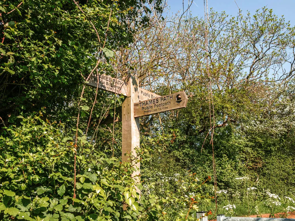 A wooden trail signpost nestled in the green leafy bushes.