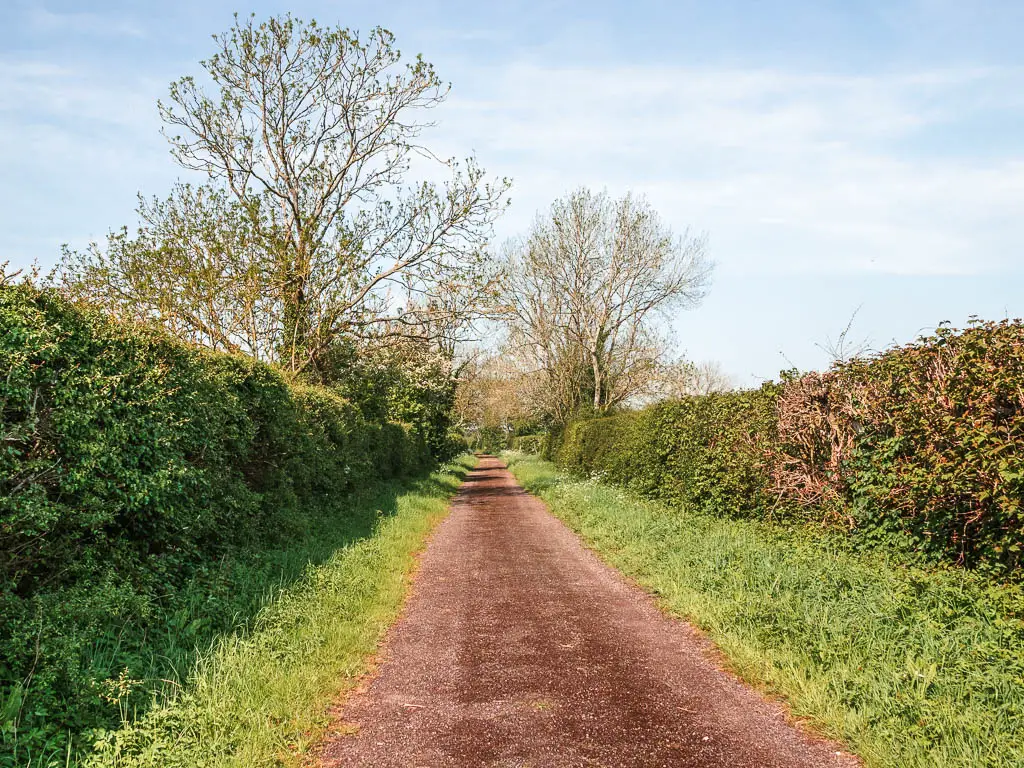 A long straight road path, lined with strips of green grass and hedges on both sides.