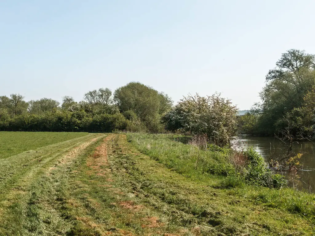 A track heading straight through the green grass field, with the river just visible to the right.