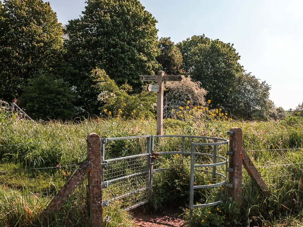 A metal gate with wooden trail sign and masses of bushes and tall grass on the other side.