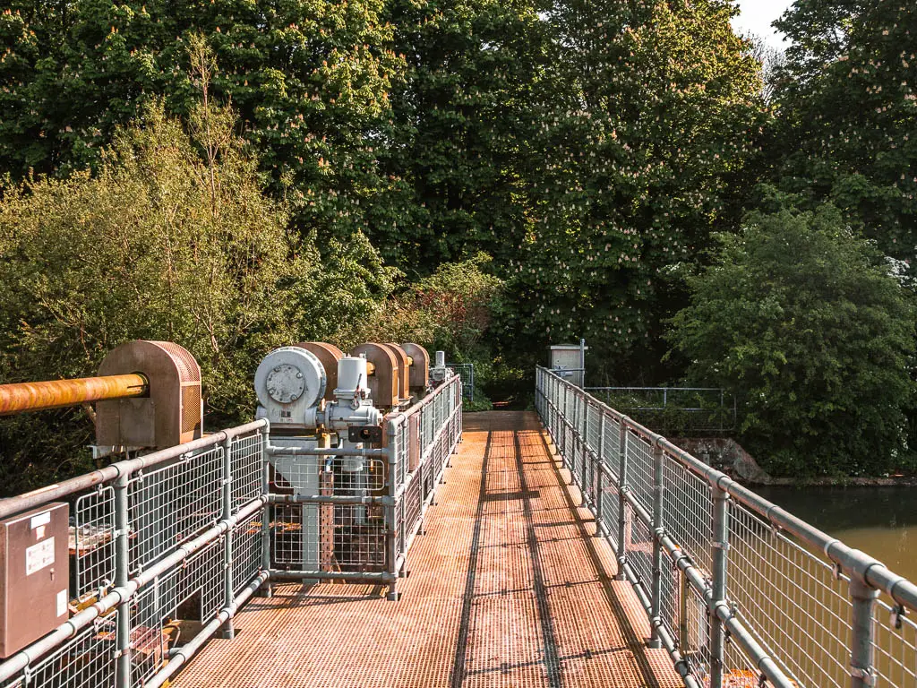 A walking bridge lined with metal railings leading straight towards masses of green leafy trees on the other side.