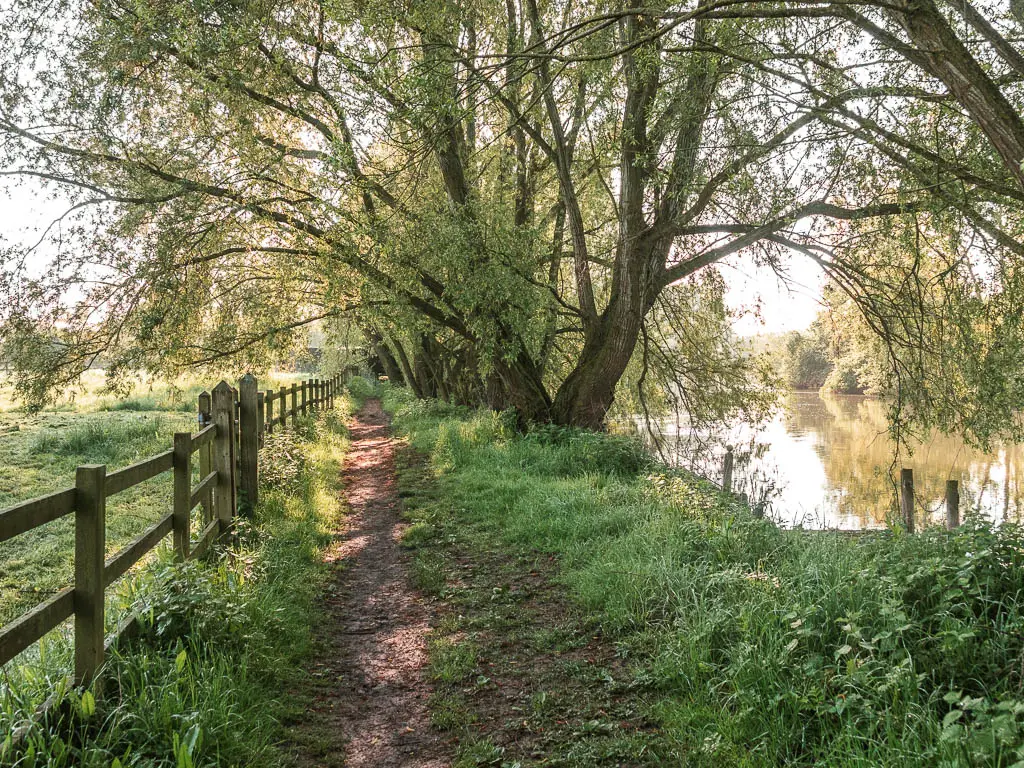 A dirt trail leading straight through the grass, with a wooden fence to the left, tall trees with overhanging branches ahead on the right, and the river on the bright side of the green.