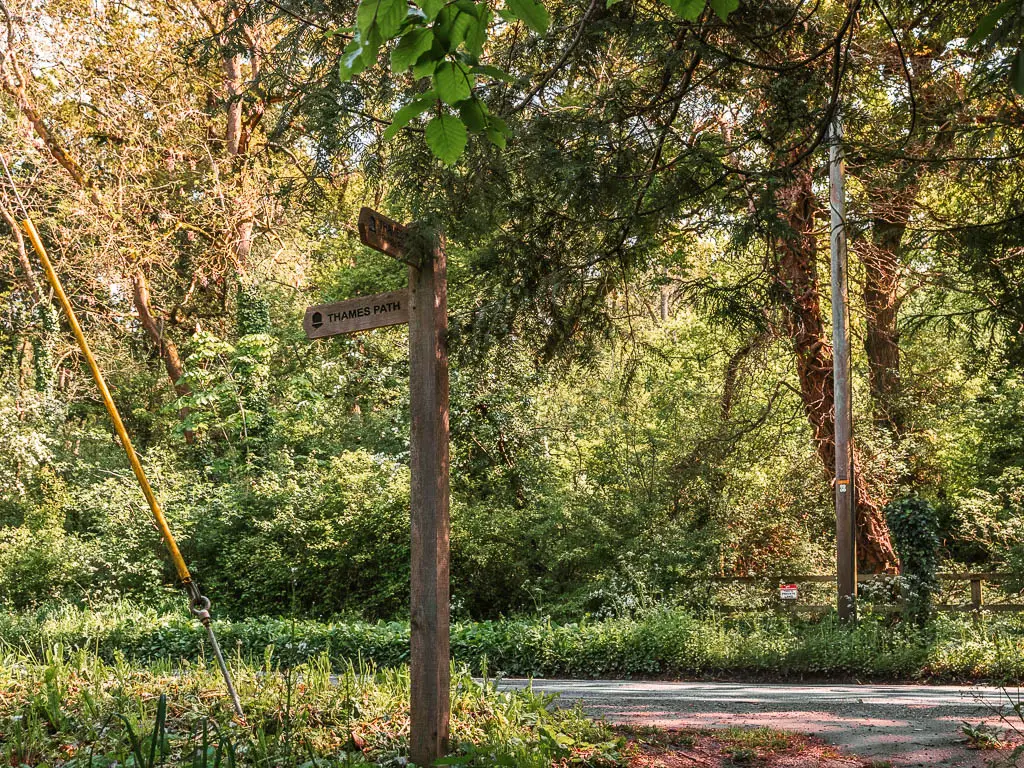 A wooden trail sign post pointing left and back, surround by green trees and bushes.