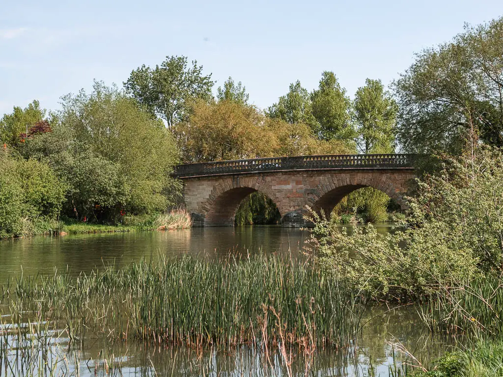 Looking along the river with tall watercress, and a stone double archway bridge ahead. There are lots of green leafy trees on the other side of the river and surrounding the bridge.