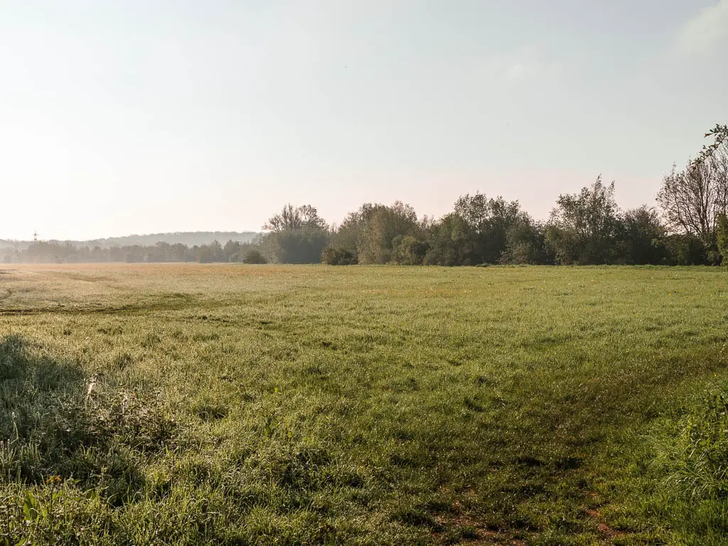 A large green grass field on a misty day, with trees on the other side.