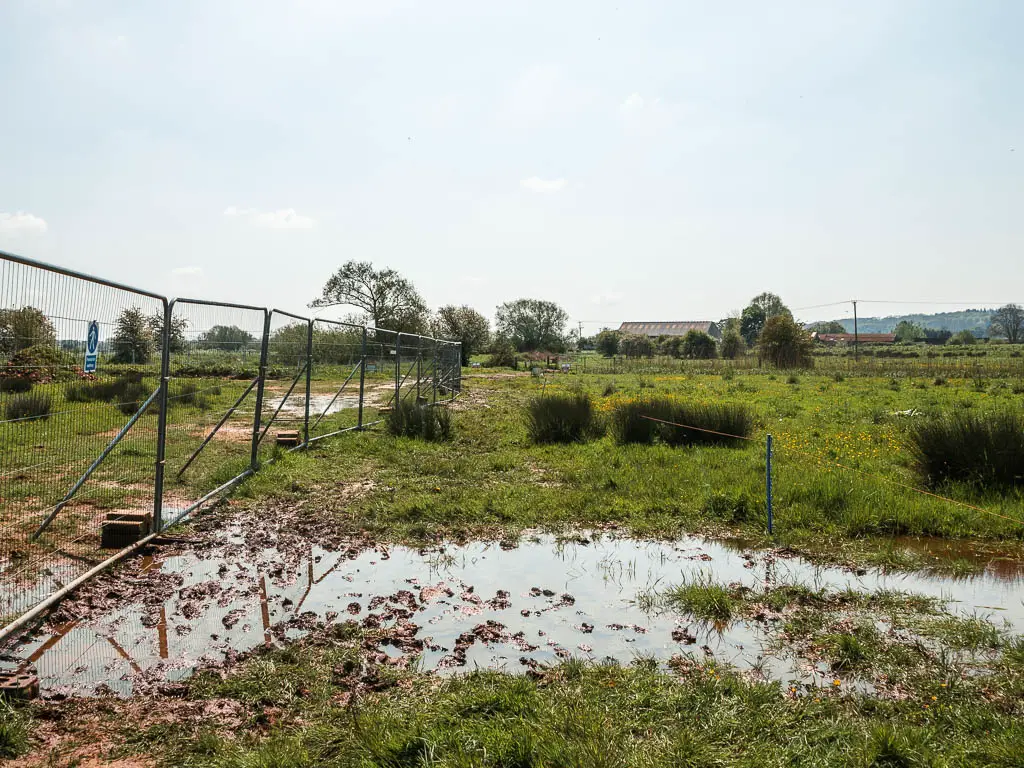 The waterlogged patch of grass with big metal fence on the left.