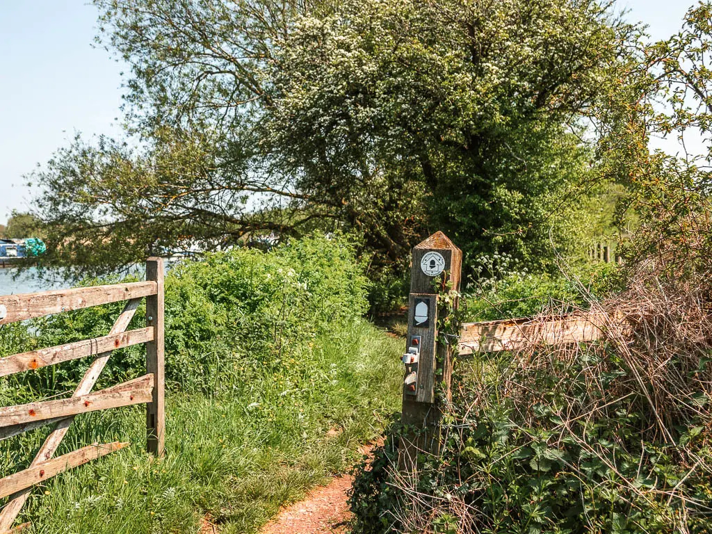 The trail leading through and open wooden gate, and a white acorn trail sign on the wooden gate post.