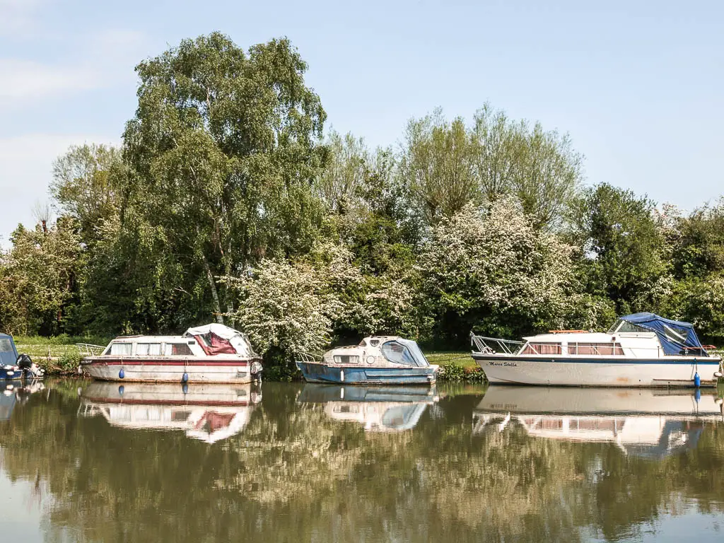 Looking across the water tow white coloured boats moored to the other side with their reflections in the water. There are white cherry blossom trees on the other side.