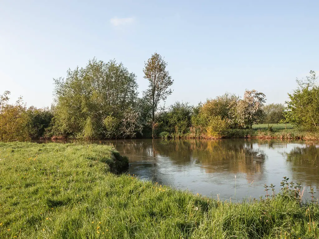 A grass field on the left and the river on the right. There are trees on the other side of the river.