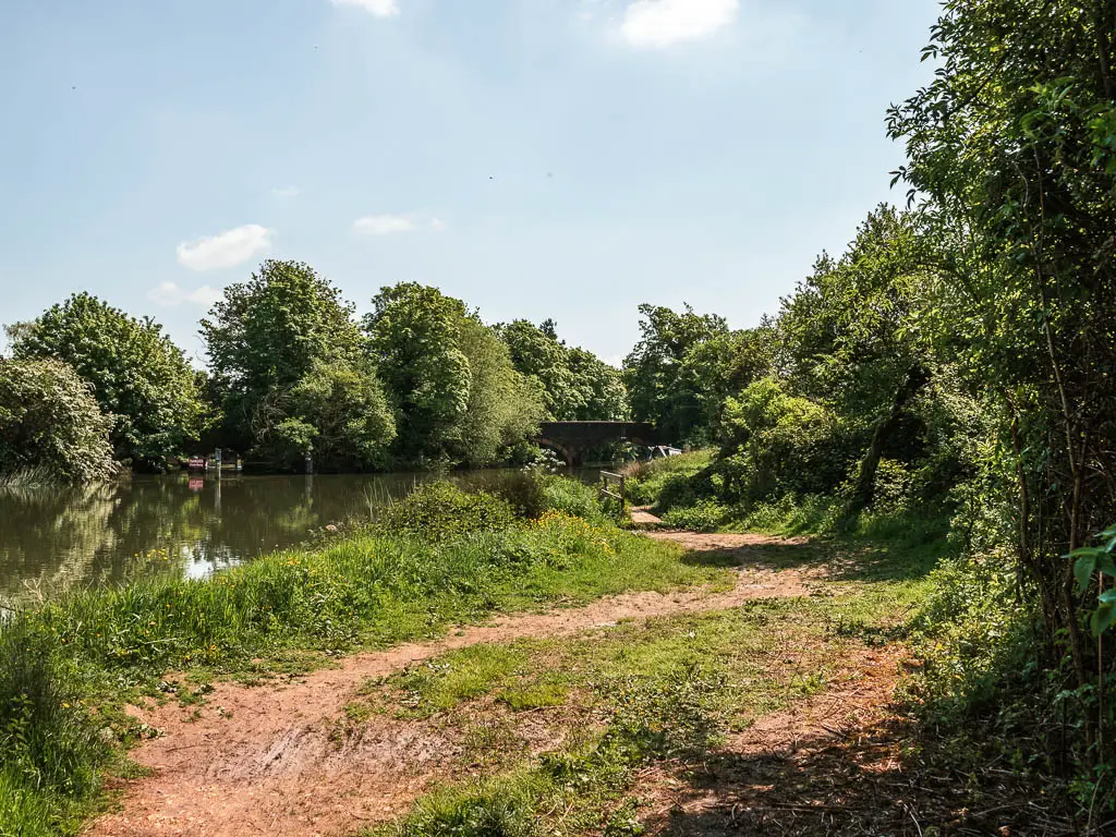 A dirt path winding ahead, with trees and bushes on the right and rive Ron the left. There are lots of green leafy trees on the other side of the river.