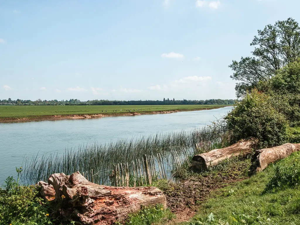 Looking over a few logs on the side of the bank to the calm river. There is a large flat green grass field on the other side of the river.