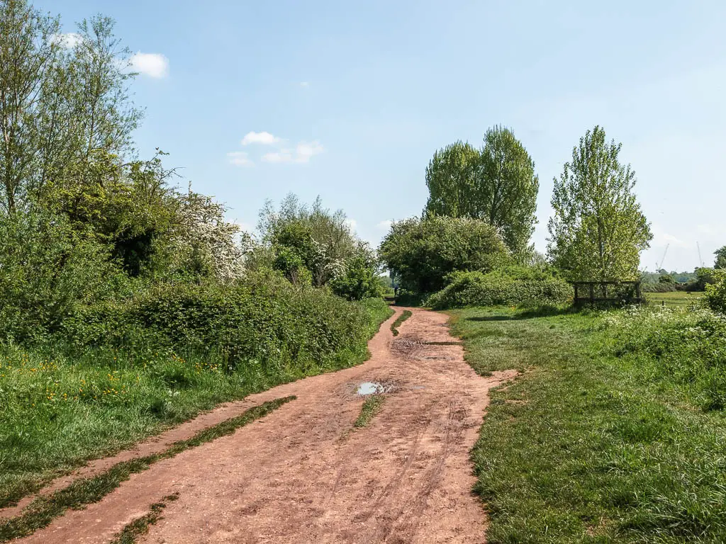 A rugged wide dirt path leading ahead, lined with grass on both sides, and bushes on the left side.