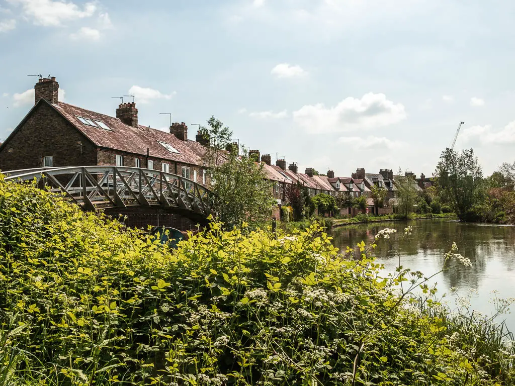 Looking over the bushes to a bridge on the left, river on the right and a row of houses on the left side past the bridge.