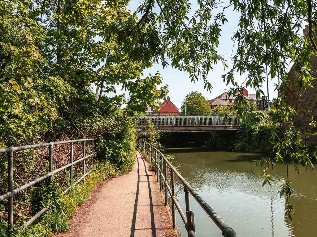 A path leading straight on the left with metal railings, and the river on the right. There is a bridge ahead. There are leafy tree branches hanging in the frame from the top.