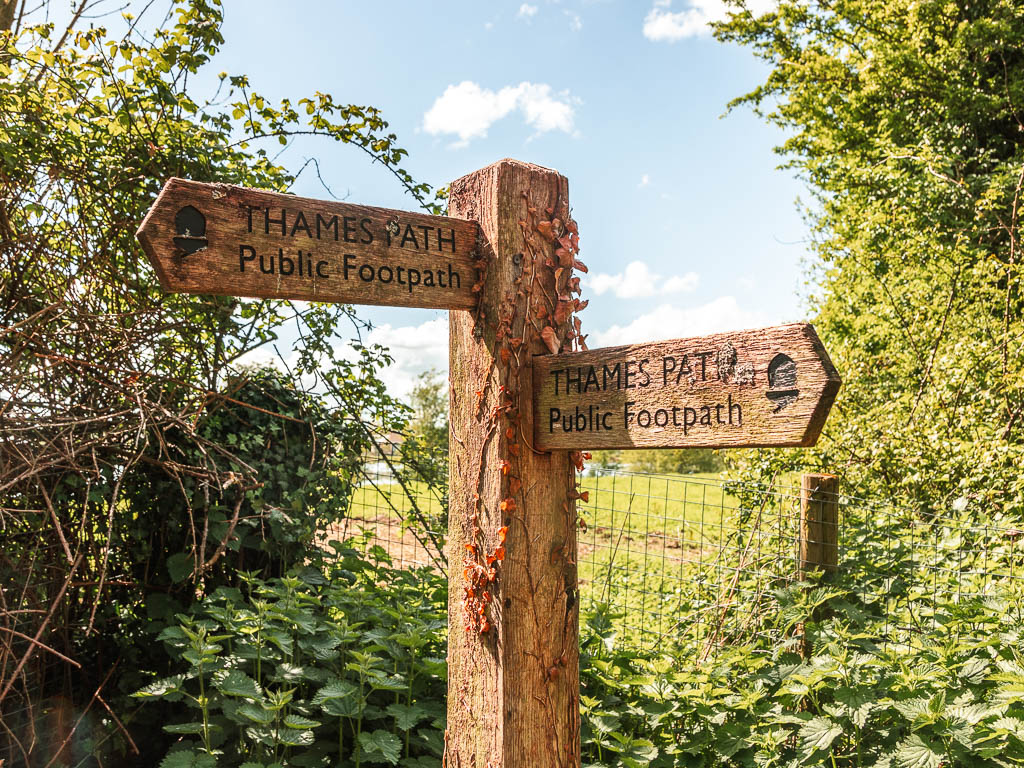 A wooden trail signpost with red ivy growing up it.
