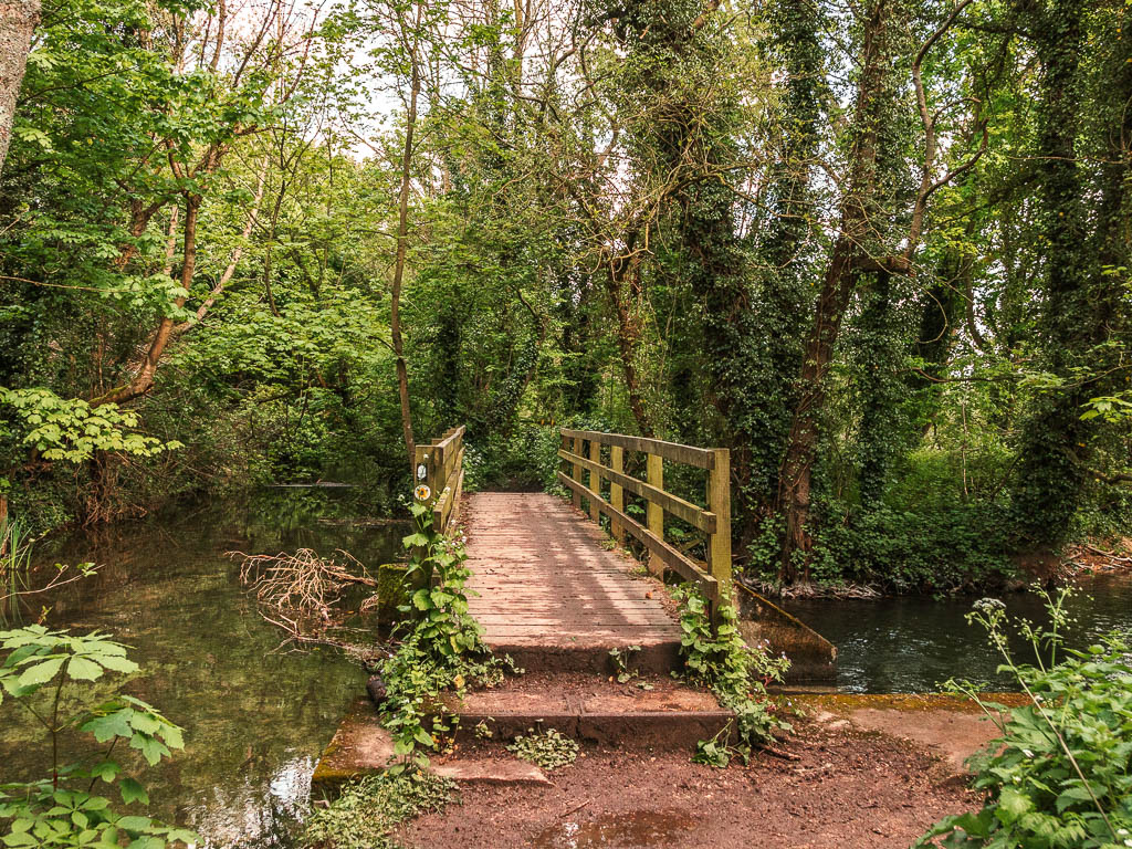 A wooden bridge covered in green leaf branches, leading over the river and surrounded by green leafy woodland trees, on the walk from the source to Cricklade.