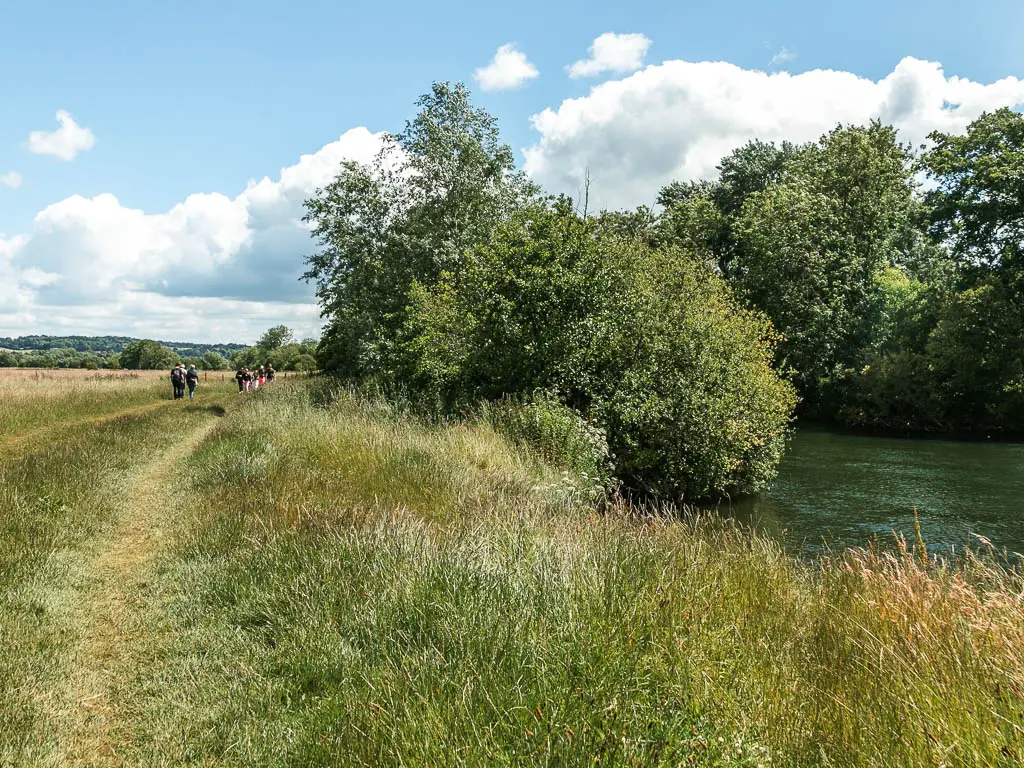 A meadow with tall grass and cut strip for the trail through it. The river is to the right.