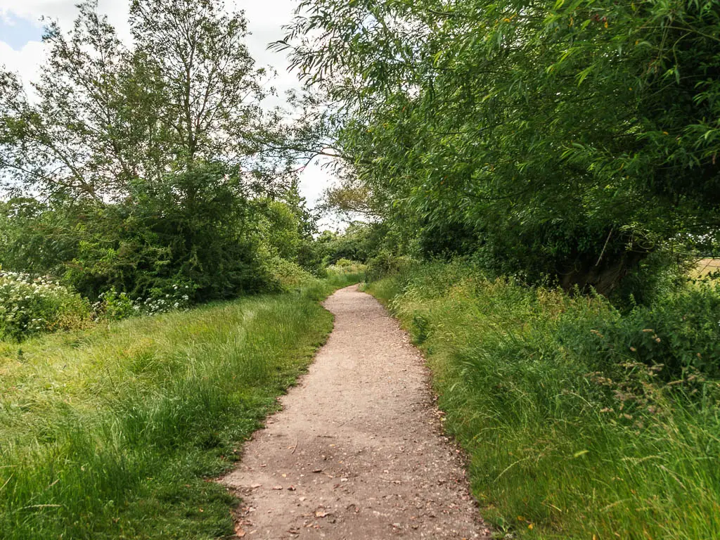 A rugged path leading ahead, lined with tall green grass, bushes and trees.