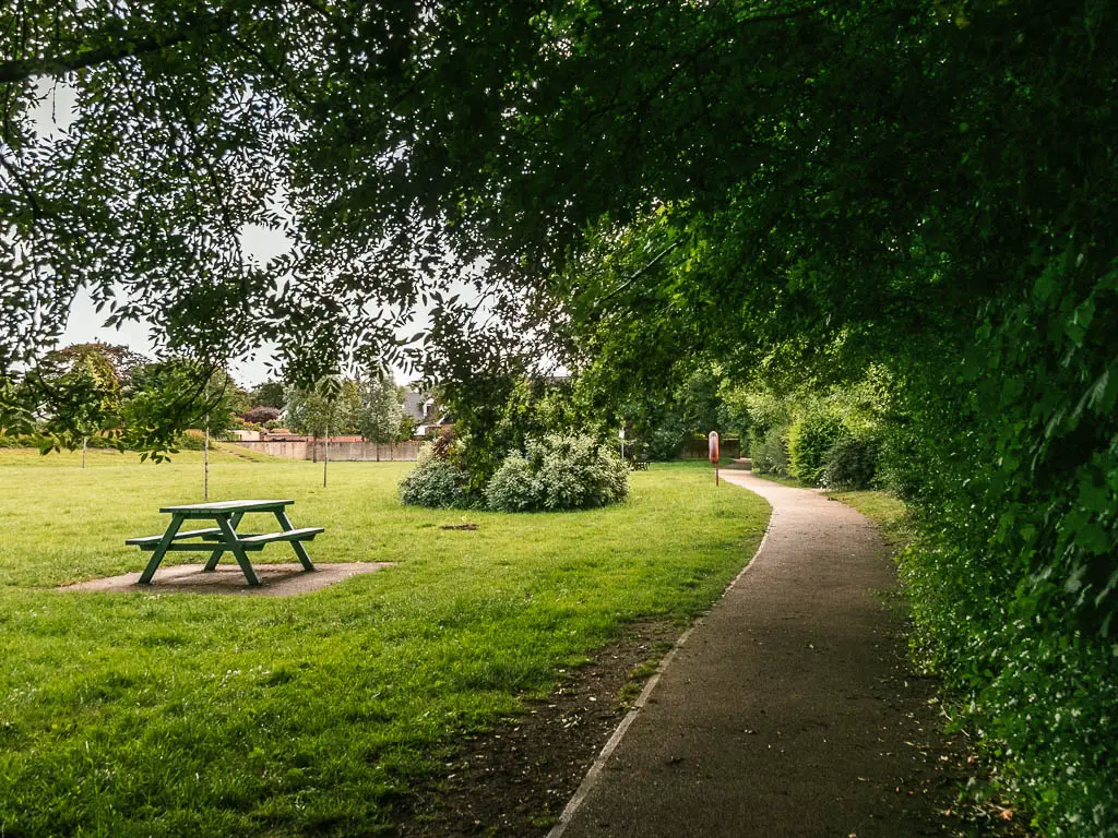 A path leading ahead, lined with tall bushes on the right and a neatly cut grass field on the left. There is a picnic bench on the field.