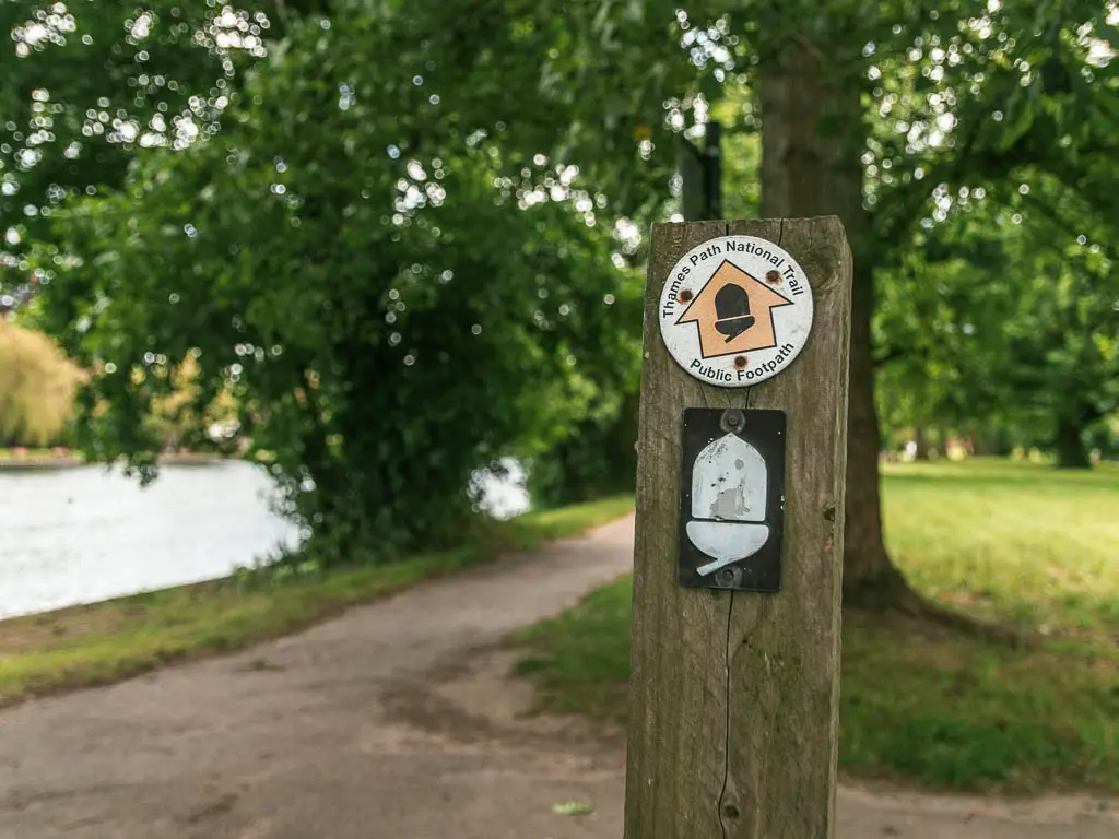 A wooden stump with white acorn and yellow arrow pointing ahead along the path.