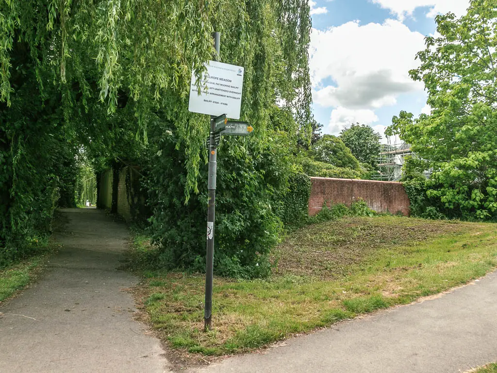 A path junction with a trail sign in the middle. There is a grass patch between the junction.