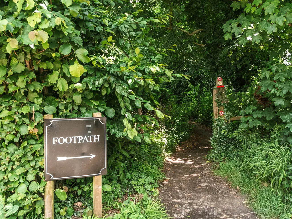 A brown sign saying 'footpath' with a white arrow pointing along the dirt trail through the mass of bushes, partway through the walk between Marlow and Maidenhead.