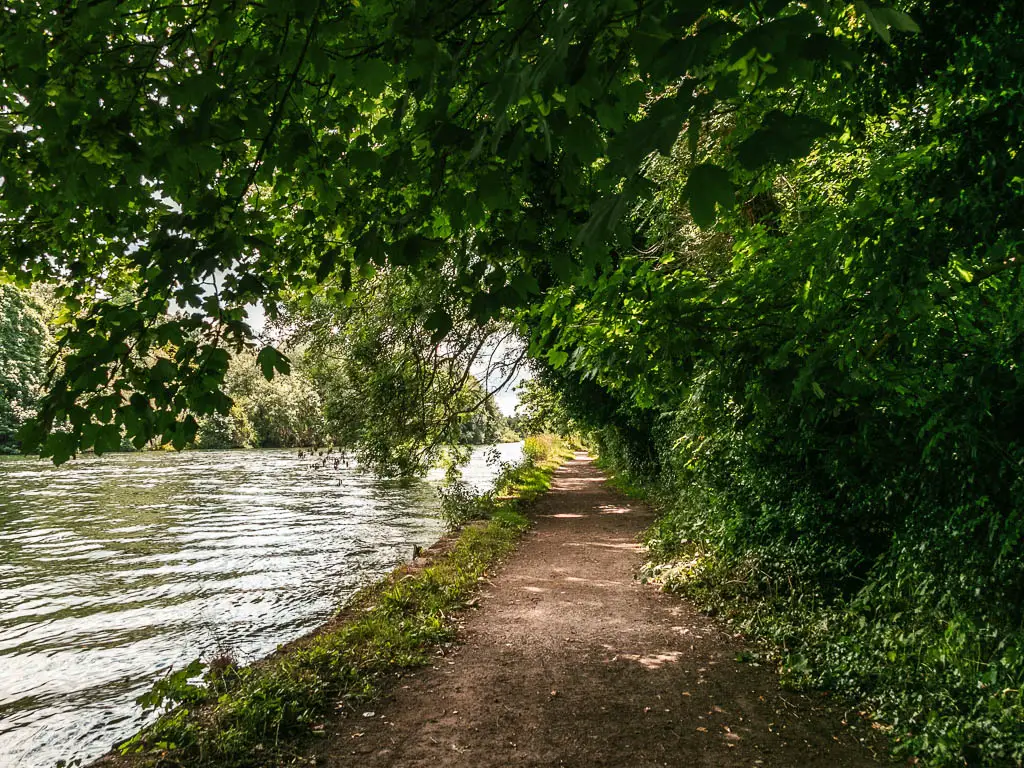 A dirt path leading ahead, with the river to the left and mass of bushes with trees overhanging the path on the right, near the end of the walk from Marlow to Maidenhead.