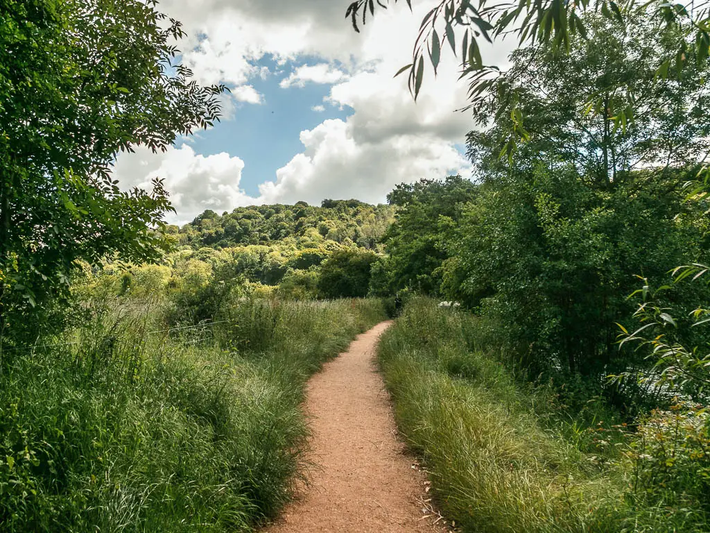 A path leading ahead, lined with tall grass and trees, at the start of the walk from Marlow to Maidenhead.