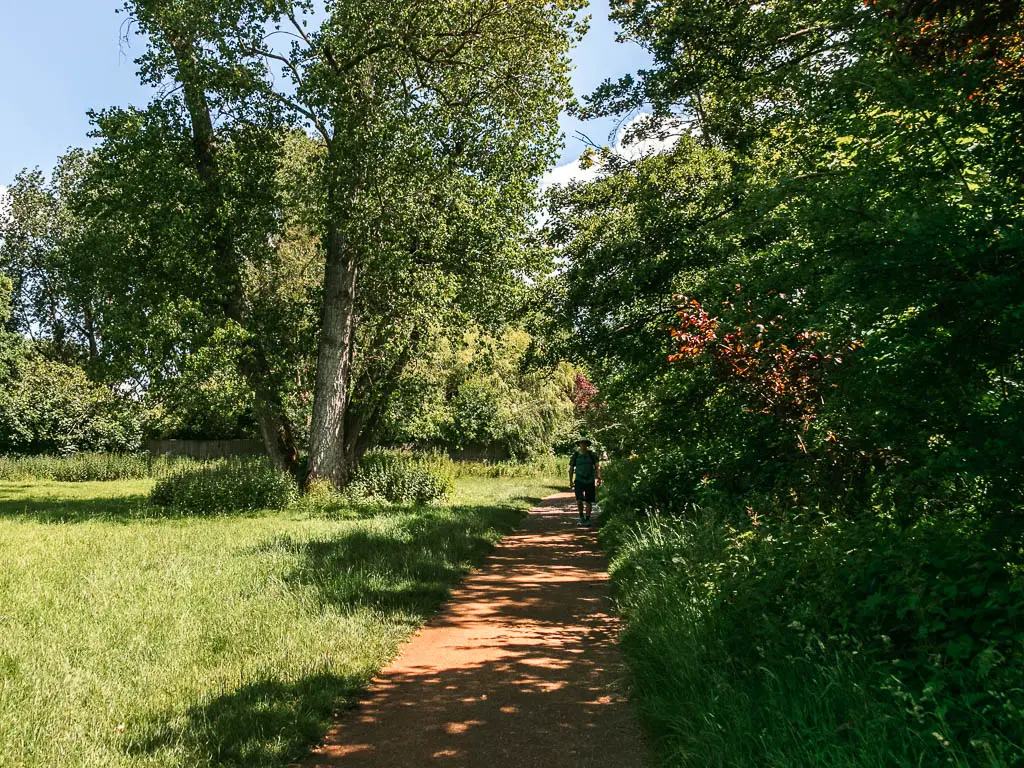 A path leading ahead with tall bushes to the right and grass field to the left. There is a person walking on the path ahead.