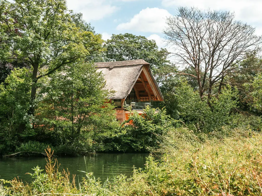 Looking over the green leafy bushes to the river and a thatched roofed cottage partially hidden by trees on the other side on the walk from Windsor to Staines.