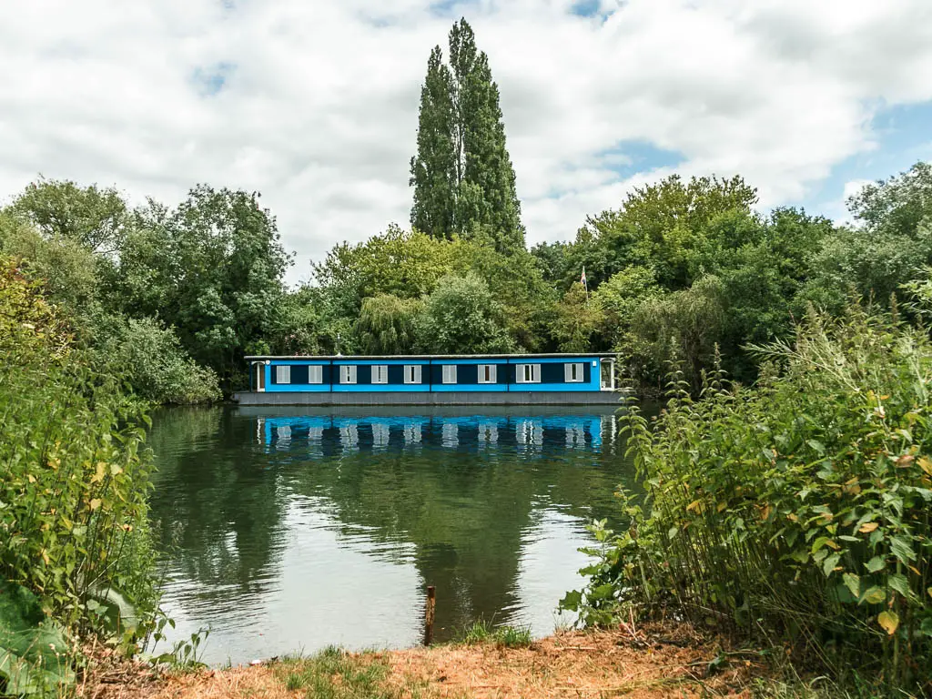 Looking across the river to a clue house boat moored to the other side, along the walk from Windsor to Staines. There is a mass of green leafy bushes and trees behind the boat.