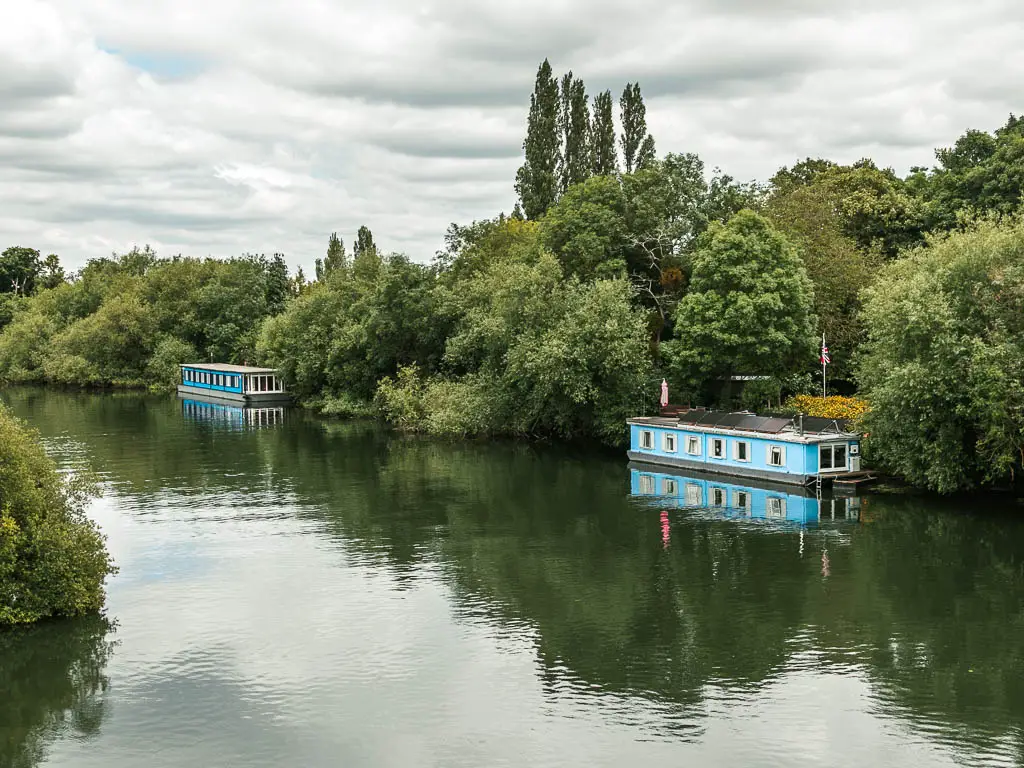 Looking down to the river, lined with masses of green leafy trees and bushes, partway through the walk between Windsor and Staines. There are two blue houses boats moored to the side.