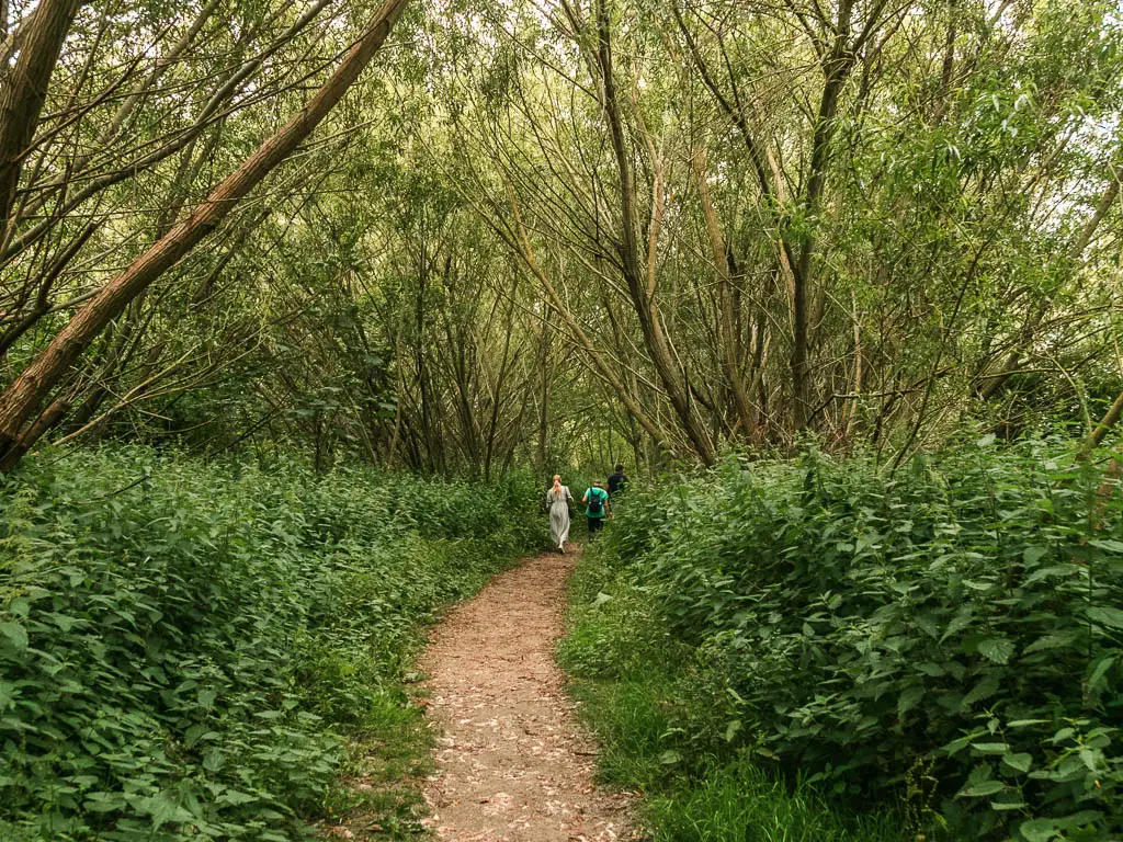 A dirt trail leading through the woods and lined with bushes, partway through the walk from Windsor to Staines. There are people walking along the trail ahead.