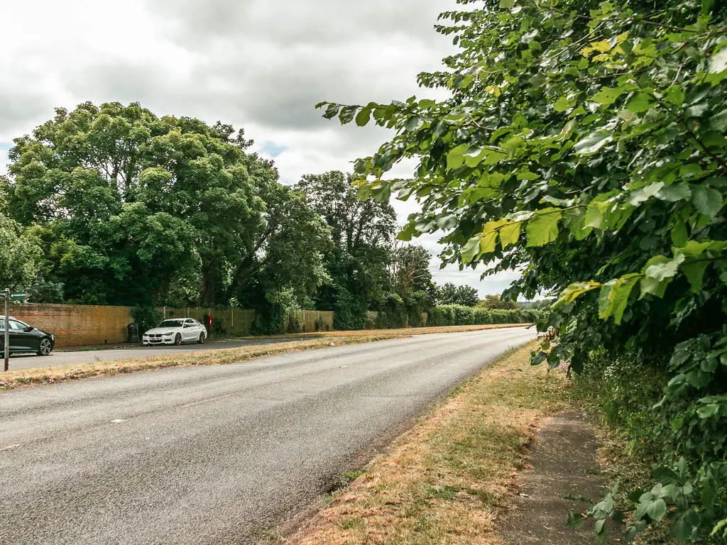 The road on the left and small grass verge on the right, with bushes to the right side.