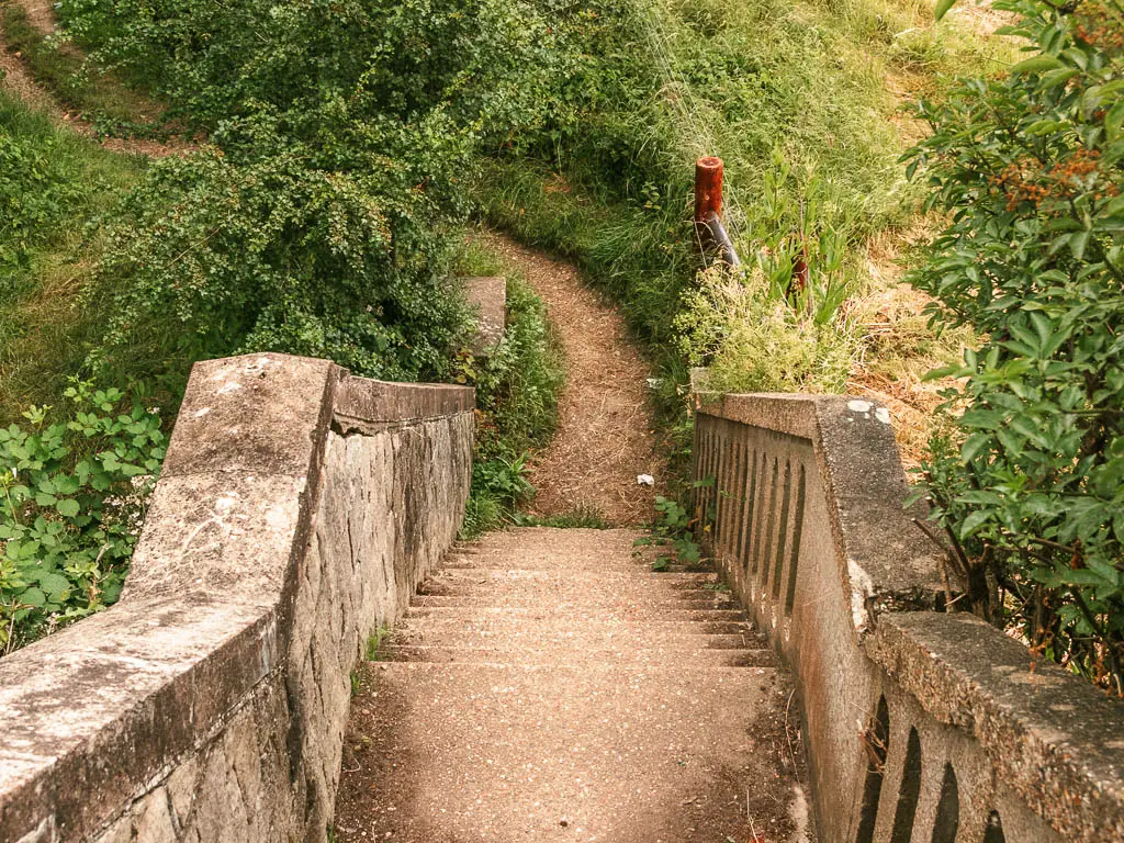 Looking down some steps to a dirt trail below, which is lined with grass and bushes, on the walk between Windsor and Staines.